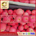 Hot Sale 2021 New Crop Fresh Apple